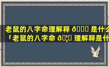 老鼠的八字命理解释 🐕 是什么「老鼠的八字命 🦍 理解释是什么意思」